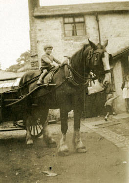 Frodsham: farm