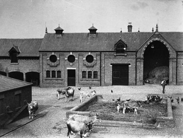 Frodsham: Castle Park Stables