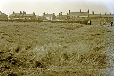 Frodsham: Unknown field and houses.
