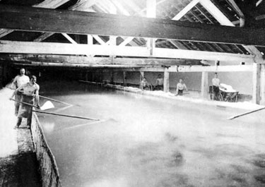 Salt Industry