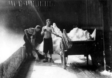 Salt Industry