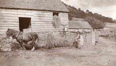Macclesfield: farm