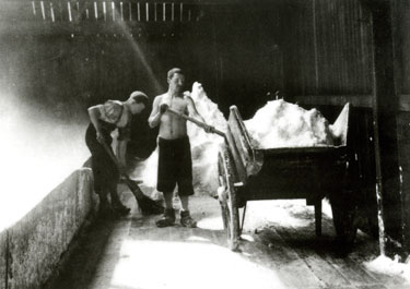 Salt Industry: workers