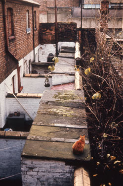 Chester: Lower Bridge Street