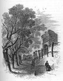 Chester: City Walls