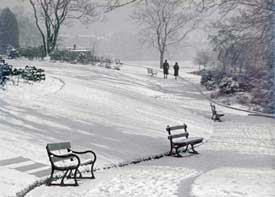 Chester: Grosvenor Park