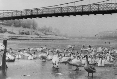 Chester: River Dee	