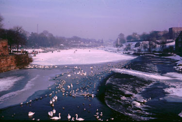 Chester: River Dee