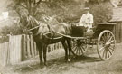 View: FD00889 Frodsham: Cotgreave's Butchers pony and trap 