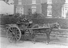 View: FD02081 Frodsham: Clarke's Grocery horse and cart  in 1900. 
