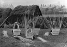 View: FD02093 Frodsham: Basket Making, Bibby's, London Road. 