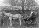 View: FD02301 Frodsham: Pony and Trap.  J. Barker's Grandfather, Mother and Aunt. 
