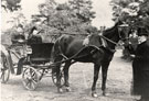 View: FD02579 Frodsham: Two Ladies in small carriage.  Coachman with top hat.  Misses Wright.