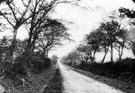 View: FD02622 Frodsham: Sandy Lane leading past Hillside Farm.  Netherton.  c.1900