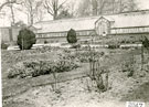 View: FD02847 Frodsham: View across rose garden to peach houses.  Castle Park Gardens