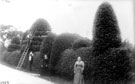 View: FD02919 Frodsham: Unidentified Topiary work.  Eaton Hall ?