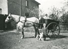 View: FD02967 Frodsham: Mr. and Mrs. Cotsgreave with grandson David and dog Gyp in horse and trap. 