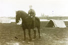 View: FD03057 Frodsham: Soldier on horseback
