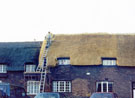 View: FD03339 Frodsham: Thatching Cottages Main Street. (Near Old Hall Hotel)