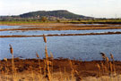 View: FD03405 Frodsham: View of Helsby Hill from Frodsham Marsh Lagoons.  01/05/1991