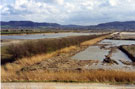 View: FD03407 Frodsham: View of Woodhouse and Helsby Hills from Frodsham Marsh Lagoon