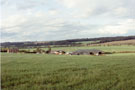 View: FD03412 Frodsham: Bradley Orchard from south west.  01/08/1992