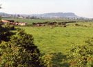 View: FD03418 Frodsham: View Helsby Hill from Marsh Lane Bridge over M56.  01/06/1993