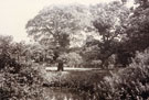 View: FD03652 Frodsham: Castle Park Gardens, pond from gate leading into field over mount.