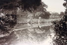 View: FD03655 Frodsham: Castle Park Gardens, pond before coming down to little gate.