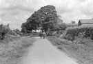 View: FD04661 Frodsham: Bradley taken from Watery Lane. Horse and rider.