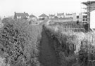 View: FD04663 Frodsham: Path across Bottoms from London Road to Fluin Lane, Frodsham. Before building of Blue Hatch.