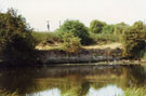 View: FD04707 Frodsham: 1/17 Saltworks Dig.  Quay wall North of 1/16 [4706] from WSC. 25/7/1990.
