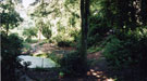 View: FD05031 Frodsham: Castle Park Grounds - Pond in restored American Garden  2004