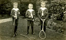 View: FD07417 Frodsham: Davies triplets 