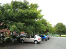 View: FD07535 Frodsham: Maturing trees, Frodsham college site