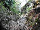 View: FD07542 Frodsham: Stream course and sandstone outcrops E of Synagogue We