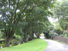 View: FD07552 Frodsham: Mature trees Erindale properties