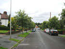View: FD07651 Frodsham: Street trees Park Lane