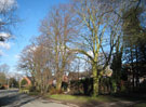 View: FD07672 Frodsham: Mature trees and grass verges, Manley Road