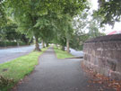 View: FD07689 Frodsham:  Lime trees between Fluin Lane and the Willow