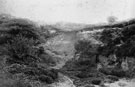 View: FDN0127 Helsby: Alvanley Cliff Quarry. 