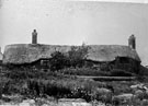 View: FDN0163 Runcorn: Thatched sandstone cottage, Halton