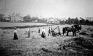 View: FDN0335 Frodsham: Haymaking, Overton 