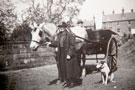 View: FDN1283 Frodsham: Horse and Trap 
