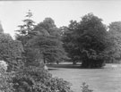 View: FDN1508 Frodsham: Castle Park Gardens