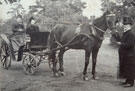 View: FDN1758 Frodsham: Horse and trap