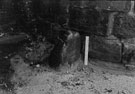 View: FDN1965 Frodsham: Mere or boundary stone 