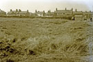 View: FDN2429 Frodsham: Unknown field and houses.
