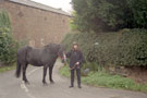 View: FDN2944 Frodsham: Tim Worrals Wife with horse, end of Watery Lane.