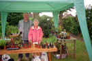 View: FDN2957 Frodsham: Frodsham and District Local History Group. Fund Raising 2001.